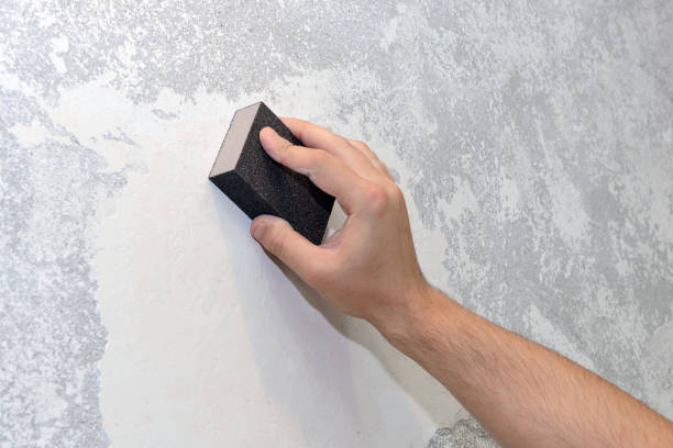 Best Black Mold Removal  in Heyville, AL