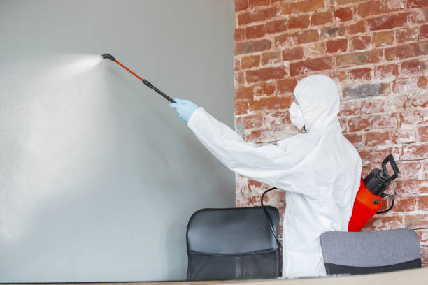 Best Emergency Mold Remediation  in Heyville, AL