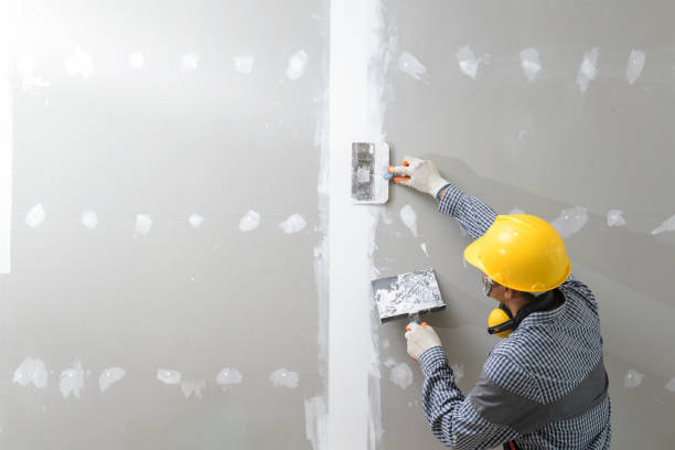 Best Mold Documentation for Insurance Claims  in Heyville, AL