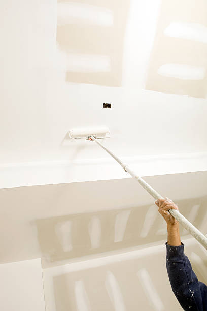 Trusted Haleyville, AL Mold Removal Experts
