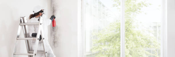 Best Air Quality Testing for Mold Spores  in Heyville, AL