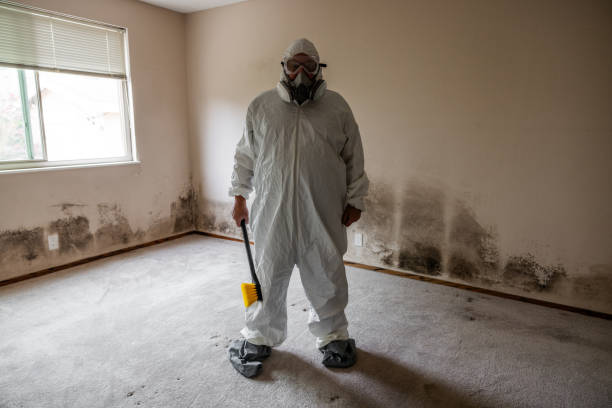 Best Crawl Space Mold Remediation  in Heyville, AL