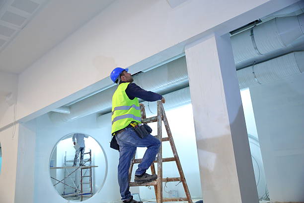 Best Mold Prevention Services  in Heyville, AL