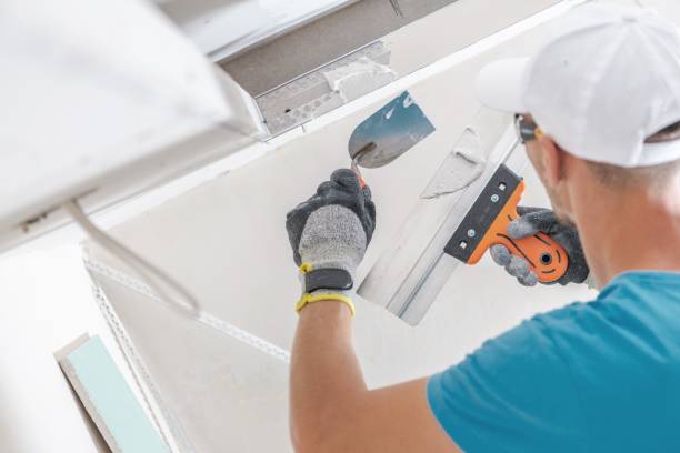Best Commercial Mold Inspection  in Heyville, AL